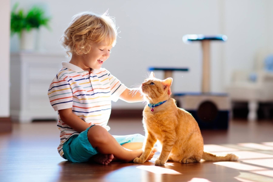 Favorire rapporto animale bambino